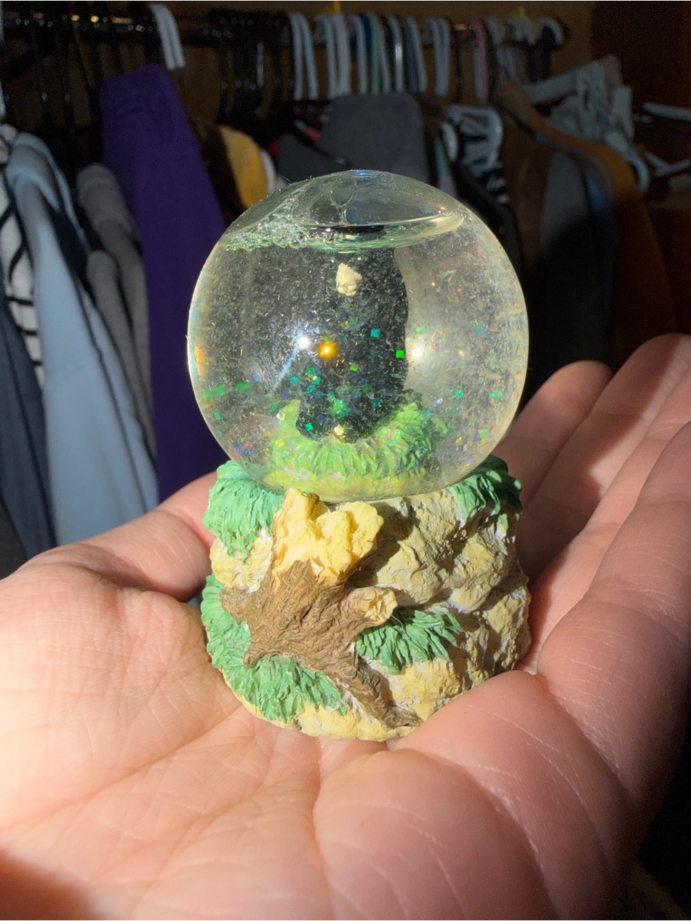 Black bear snow globe